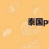 泰國pumpkin（泰國pump）