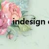 indesign cs4序列號（indesign cs4）