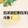 白洋淀紀事白洋淀邊一次小戰斗主要內容（白洋淀邊一次小斗爭）