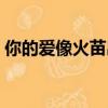 你的愛像火苗出自哪一首歌（你的愛像火苗）