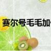 賽爾號毛毛加什么努力值（賽爾號努力值表）