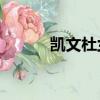 凱文杜蘭特13代（杜蘭特三代）