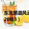 東北黑道風云20年3有聲小說（東北黑道風云20年3）