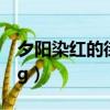 夕陽染紅的街道cg百度云（夕陽染紅的街道cg）