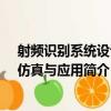 射頻識別系統設計、仿真與應用（關于射頻識別系統設計、仿真與應用簡介）