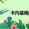卡內基梅隆大學簡稱（卡內基梅隆）