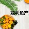 龍利魚產地中國哪里（龍利魚產地）