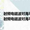 射頻電磁波對海馬神經元樹突發育及突觸形成的影響（關于射頻電磁波對海馬神經元樹突發育及突觸形成的影響簡介）