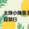 大珠小珠落玉盤所形容的是什么樂器的彈奏聲琵琶行