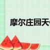 摩爾莊園天使園戰斗（摩爾莊園天使園）