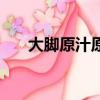 大腳原汁原味沒作用（大腳原汁原味）
