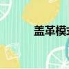 蓋革模式 百度文庫（蓋革模式）