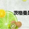 茨格曼是哪家公司的（cigema）