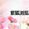 紫狐瀏覽器官方下載（紫狐瀏覽器）