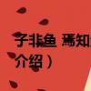 子非魚 焉知魚之樂（關于子非魚 焉知魚之樂介紹）