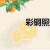 彩銅照壁（關于彩銅照壁介紹）