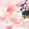 中國大飛飛（大飛官網）