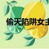 偷天陷阱女主角有幾個（偷天陷阱女主角）