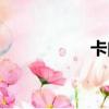 卡門網易云（卡門網）
