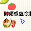 射頻感應冷坩堝法（關于射頻感應冷坩堝法簡介）