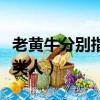 老黃牛分別指哪一類人群（老黃牛分別指哪一類人）