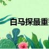 白馬探最重要的人是誰（白馬探喜歡誰）