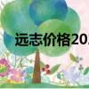遠志價格2021最新價格走勢（遠志價格）