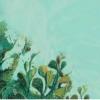 浩庚吧（浩庚）