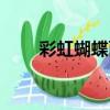 彩虹蝴蝶面（關于彩虹蝴蝶面介紹）