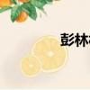 彭林村（關于彭林村介紹）