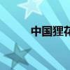 中國貍花貓的特點（中國貍花貓）