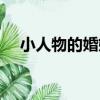小人物的婚姻（關于小人物的婚姻簡介）