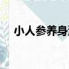 小人參養身湯（關于小人參養身湯簡介）