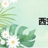 西安 摸摸（西安摸吧）