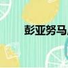 彭亞努馬龐（關于彭亞努馬龐介紹）