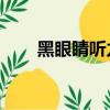 黑眼睛聽力第5版pdf（黑眼睛聽力）