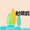 射頻武器（關于射頻武器簡介）