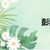 彭剛（關于彭剛介紹）