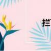 攔飛機事件（攔飛機）