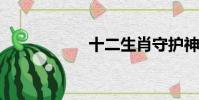 十二生肖守護神小說