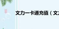文力一卡通充值(文力一卡通)