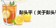 彭頭平(關于彭頭平介紹)