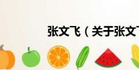 張文飛(關于張文飛介紹)