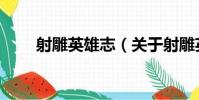 射雕英雄志(關于射雕英雄志簡介)