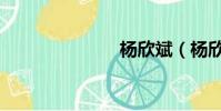 楊欣斌(楊欣)