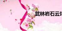 武林巖石云坪