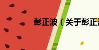 彭正波(關于彭正波介紹)