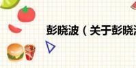 彭曉波(關于彭曉波介紹)