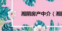 湘陰房產中介(湘陰房產)