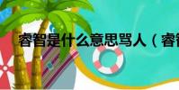 睿智是什么意思罵人(睿智是什么意思)